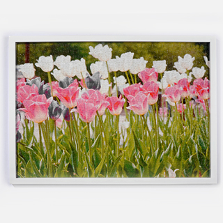 White Pine Wood Frame